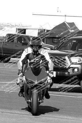 media/Apr-10-2022-SoCal Trackdays (Sun) [[f104b12566]]/Around the Pits/